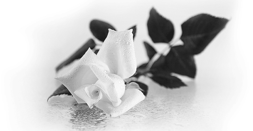 Последний документ